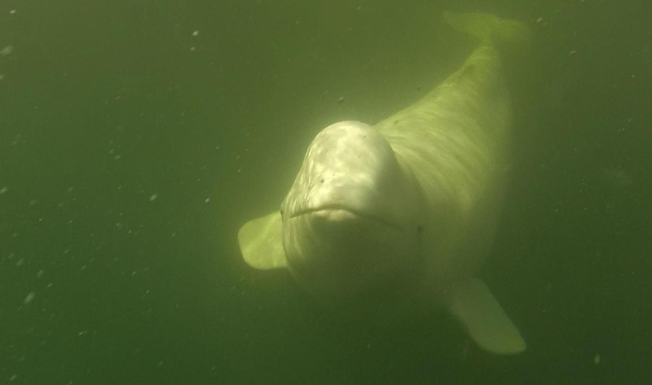 Beluga Beach House Churchill Zewnętrze zdjęcie